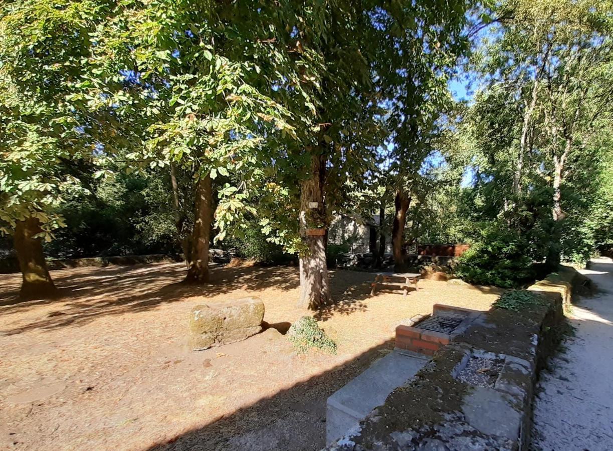 Village De Gites Du Moulin Neuf Getigne المظهر الخارجي الصورة